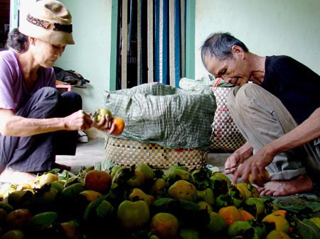 Lâm Đồng: quả hồng đang được giá